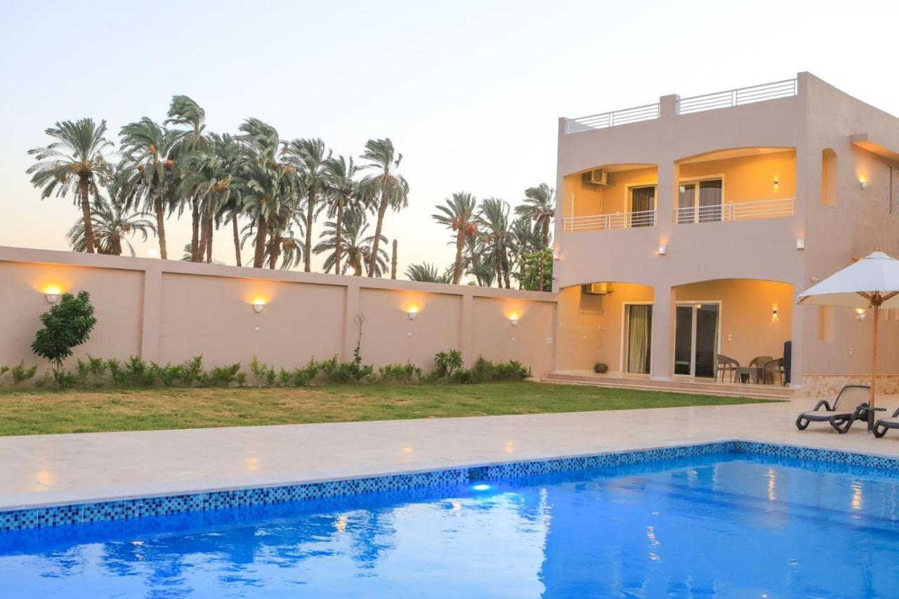 Royal Nile Villa - Pool View Apartment 1 Luksor Exterior foto